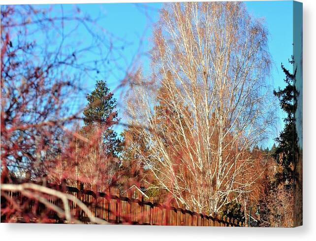 Bend Canvas Print featuring the photograph Drake Park Bridge 21655 by Jerry Sodorff