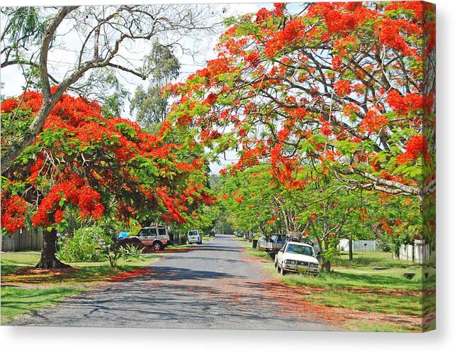 Australia Canvas Print featuring the photograph Follow the Red Road to your Heart by Ankya Klay