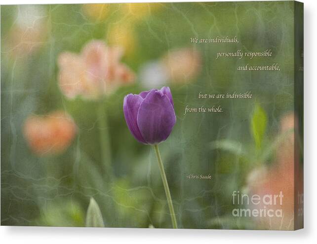 Tulip Canvas Print featuring the photograph Indivisible by Ginger Wagoner