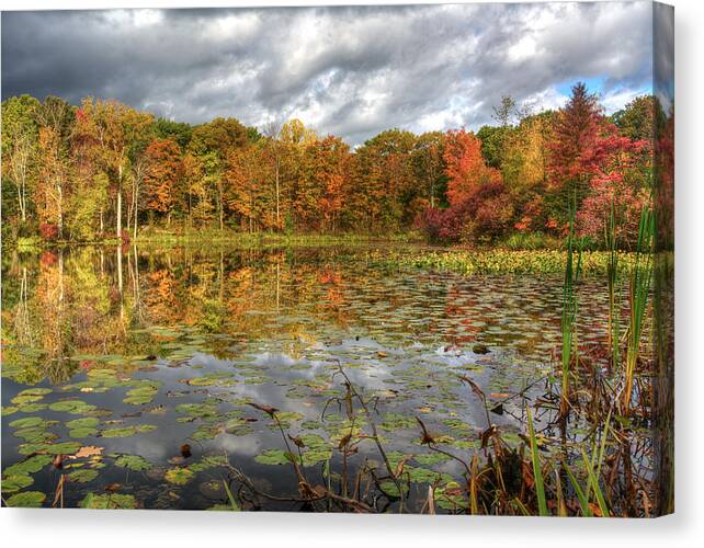 2x3 Canvas Print featuring the photograph Lily Pads on Foster Pond by At Lands End Photography