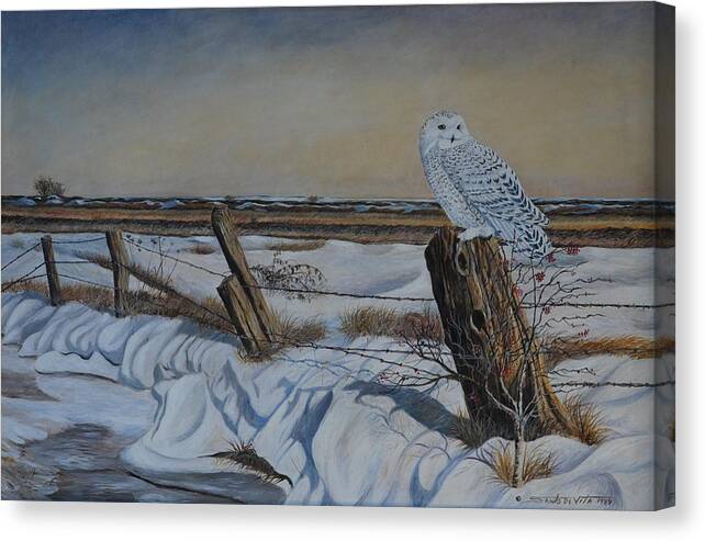 Realistic Wildlife Snowy Owl Winter Scene Canadian Wildlife Canvas Print featuring the painting Winter Visitor by Santo De Vita