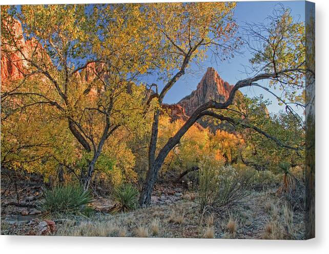 Zion National Park Canvas Print featuring the photograph Zion National Park #21 by Douglas Pulsipher