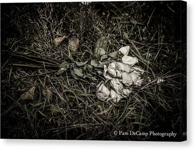 Roses Canvas Print featuring the photograph Discarded by Pam DeCamp