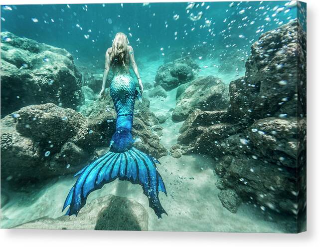  Canvas Print featuring the photograph Mermaid Sparkles by Leonardo Dale