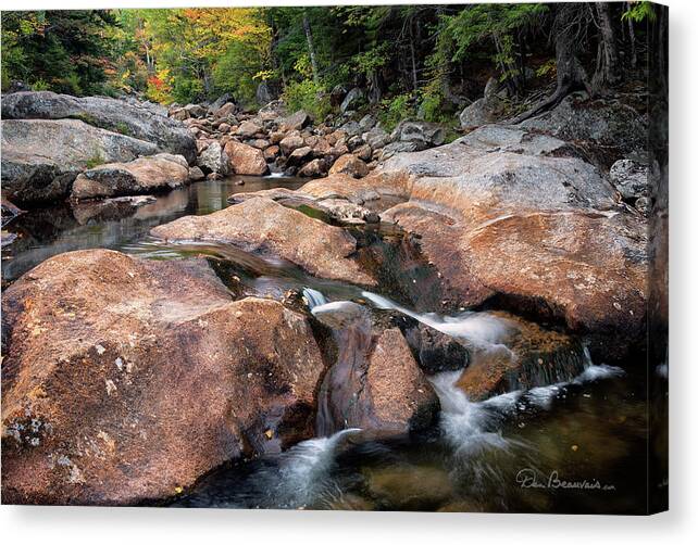 New Hampshire Canvas Print featuring the photograph Peabody River 1862 by Dan Beauvais