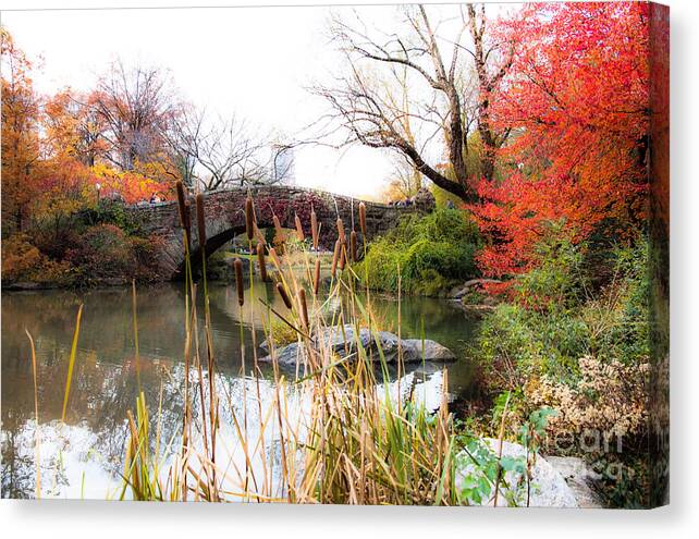 Central Park Canvas Print featuring the photograph Pond in Central Park by Agnes Caruso