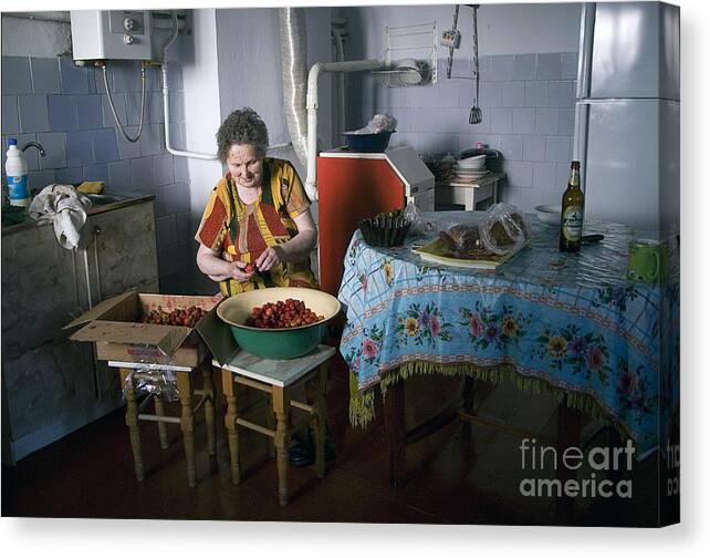 Ukraine Canvas Print featuring the photograph Stefania Cleans Strawberries in Chortkiw Ukraine by Yuri Lev