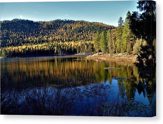 Lakes Canvas Print featuring the photograph Tamarack Reflections by Mike Helland