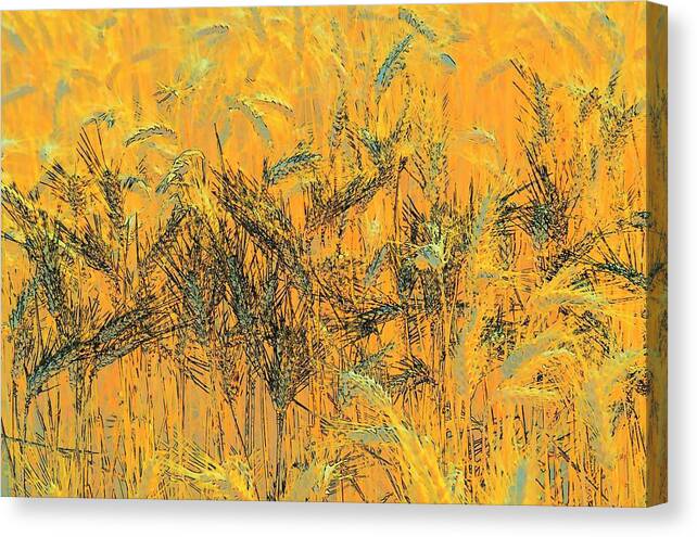 Texture Canvas Print featuring the photograph Wheatscape 6343 by Jerry Sodorff