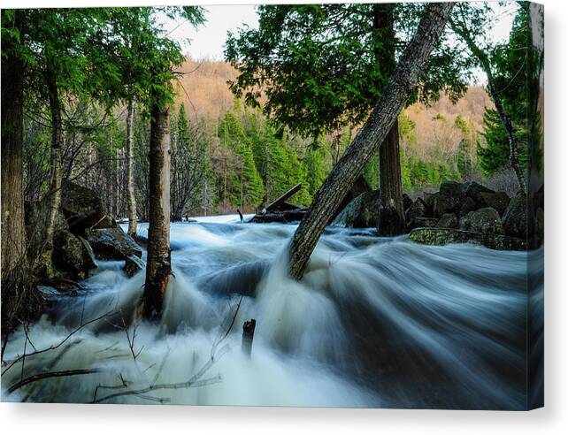 Adirondack Forest Preserve Canvas Print featuring the photograph Raquette River #1 by Bob Grabowski