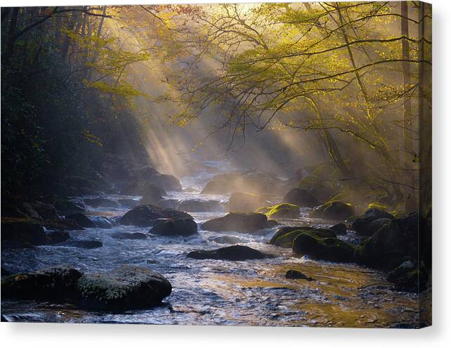 Fall Colors And Waterfall Canvas Print featuring the photograph God Rays of The Middle Prong by Johnny Boyd