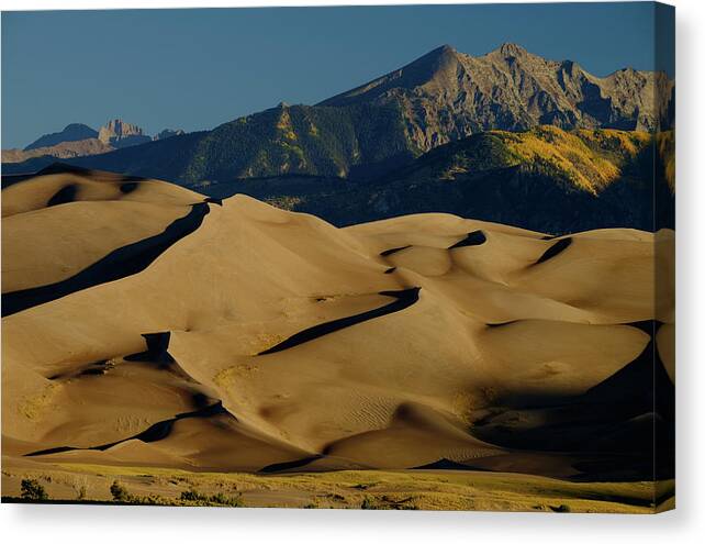 Aspens Canvas Print featuring the photograph Grand Dunes by Johnny Boyd