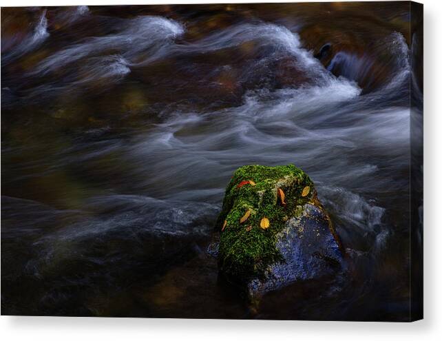Sunset Canvas Print featuring the photograph Moss Covered Rock by Johnny Boyd