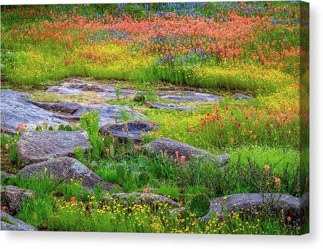 Texas Wildflowers Canvas Print featuring the photograph Wildflower Rock by Johnny Boyd