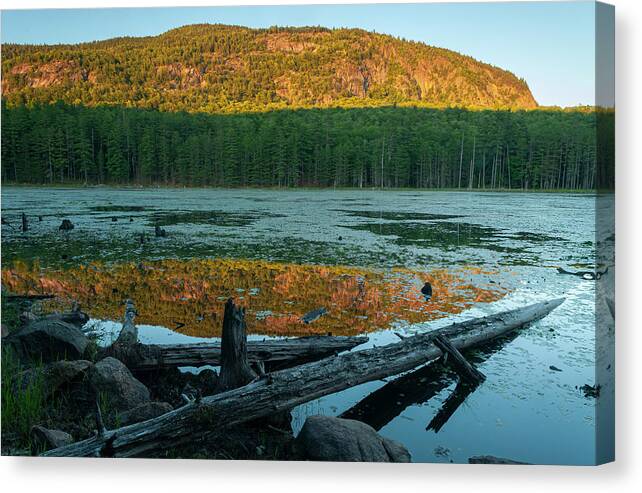 Adirondack Forest Preserve Canvas Print featuring the photograph A Time For Reflection by Bob Grabowski