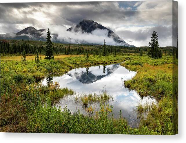 Clearwater Mountains Canvas Print featuring the photograph Clearwater Meadow by Scott Slone