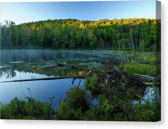 Adirondack Forest Preserve Canvas Print featuring the photograph First Light by Bob Grabowski