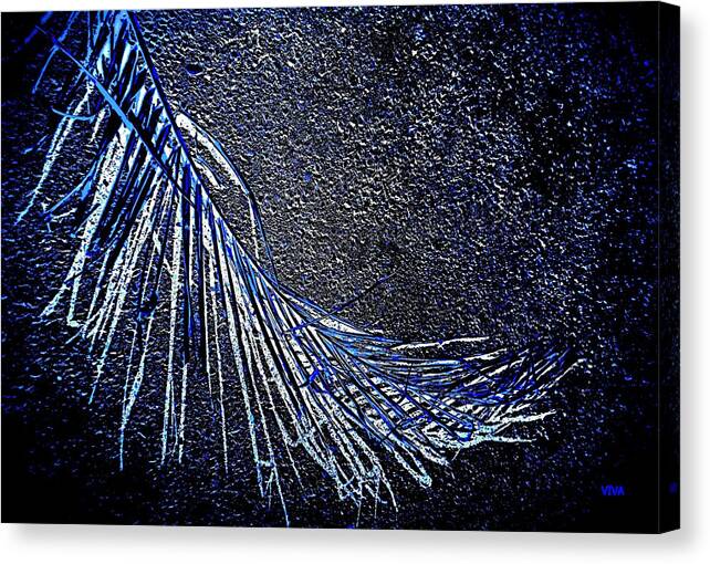 Palm Frond Canvas Print featuring the photograph Graceful Frond in Blue by VIVA Anderson