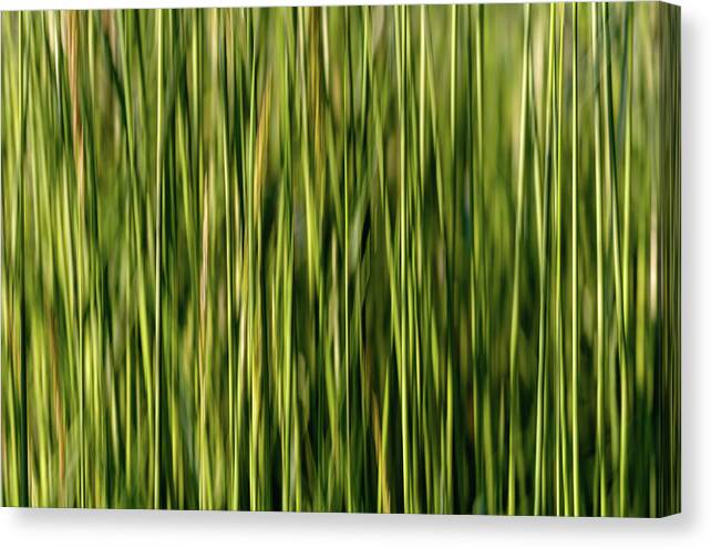 Abstract Canvas Print featuring the photograph Psychedelic Nature Abstraction by Martin Vorel Minimalist Photography