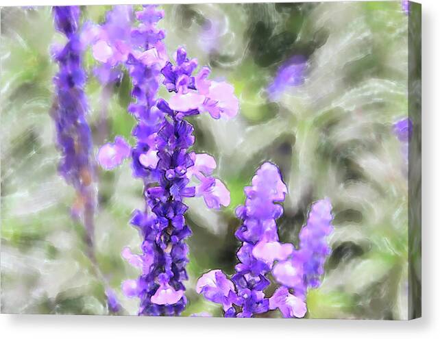 China Canvas Print featuring the digital art Sage Flowers Watercolor by Tanya Owens