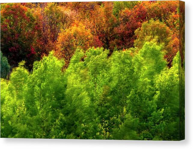 Trees Canvas Print featuring the photograph Windy Autumn Trees by Jerry Sodorff