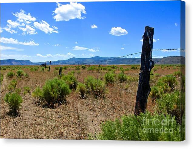 Cowboy Country Canvas Print featuring the photograph Cowboy Country by Tim Rice