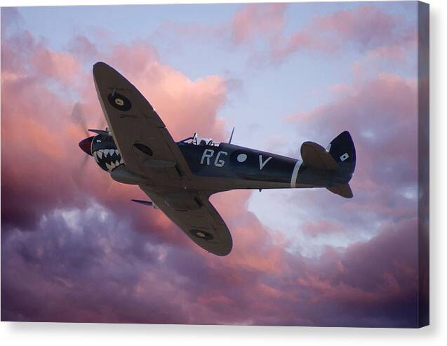 Raaf Canvas Print featuring the digital art Lone Predator by Mark Donoghue