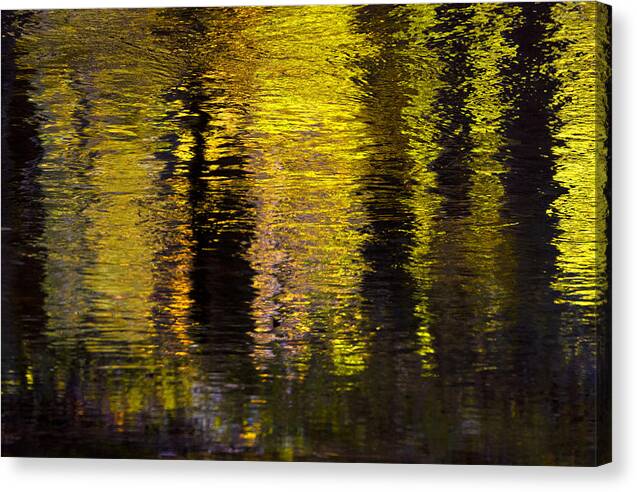 Colored Reflections Canvas Print featuring the photograph Colored Reflections by Ken Barrett