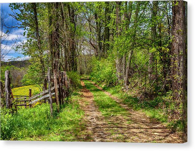 Spring Canvas Print featuring the photograph Early Spring Walk by Kevin Senter