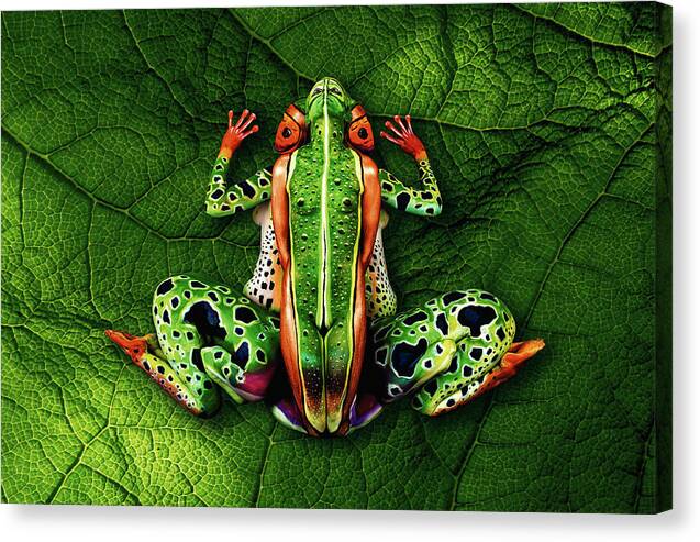 Frog Canvas Print featuring the photograph Frog Bodypainting Illusion by Johannes Stoetter