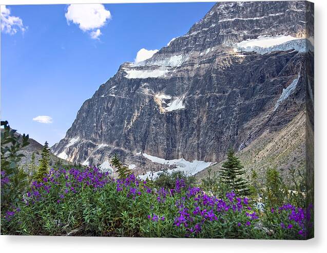 Interpretive Apps For The Canadian Rockies Canvas Print featuring the photograph Interpretive Apps in the Canadian Rockies by Ken Barrett