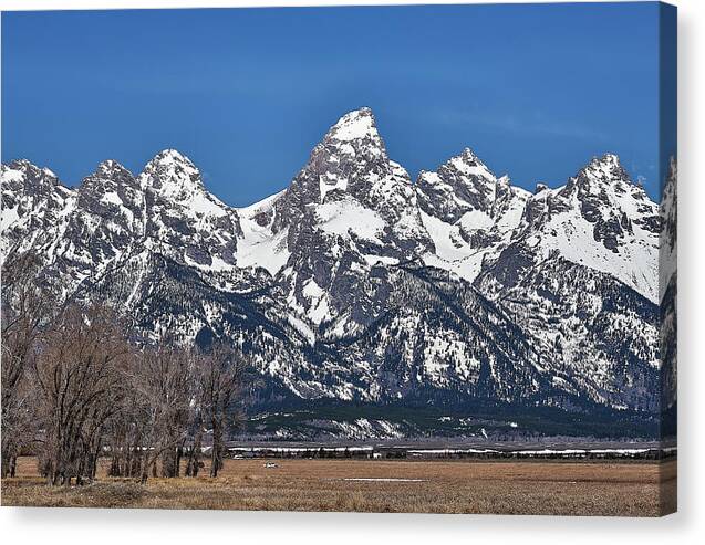Landscape Canvas Print featuring the photograph Grand Tetons by Jermaine Beckley