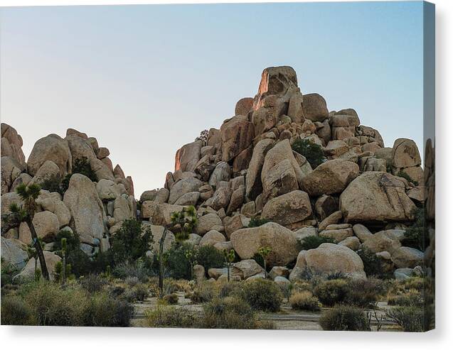 Landscape Canvas Print featuring the photograph Joshua Tree NP Rock Formation by Jermaine Beckley