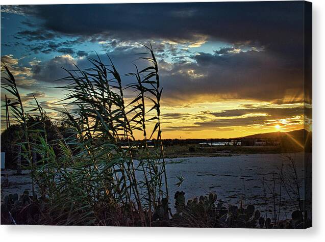 Sunset Canvas Print featuring the photograph Leaving Provence by Portia Olaughlin