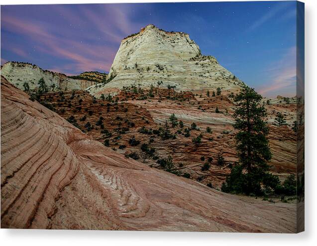 Zion Canvas Print featuring the photograph Swirls - Starlight Series #6 - Zion National Park, Utah, USA - 2011 New 1/10 by Robert Khoi