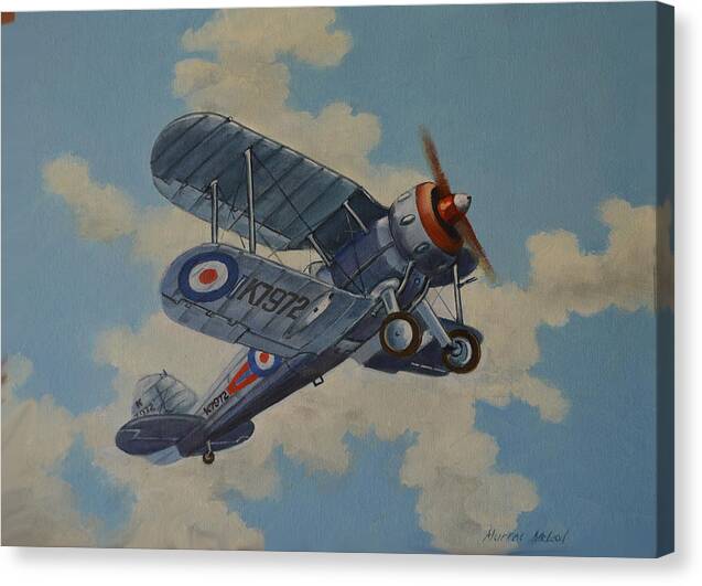 Aviation Art Canvas Print featuring the painting Peacetime Gladiator by Murray McLeod