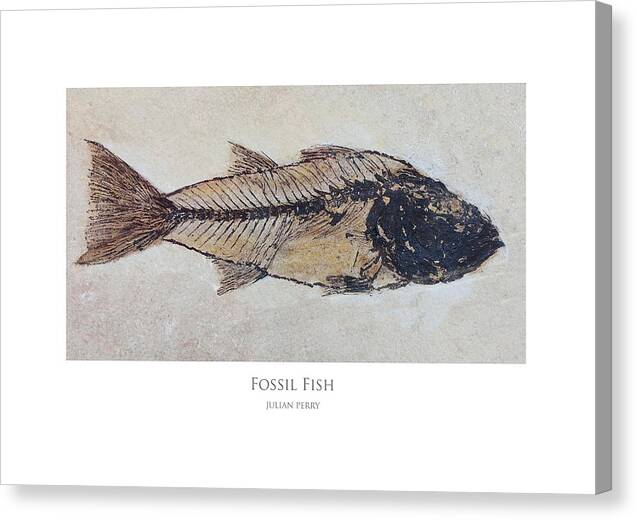 Fish Canvas Print featuring the digital art Fossil Fish by Julian Perry