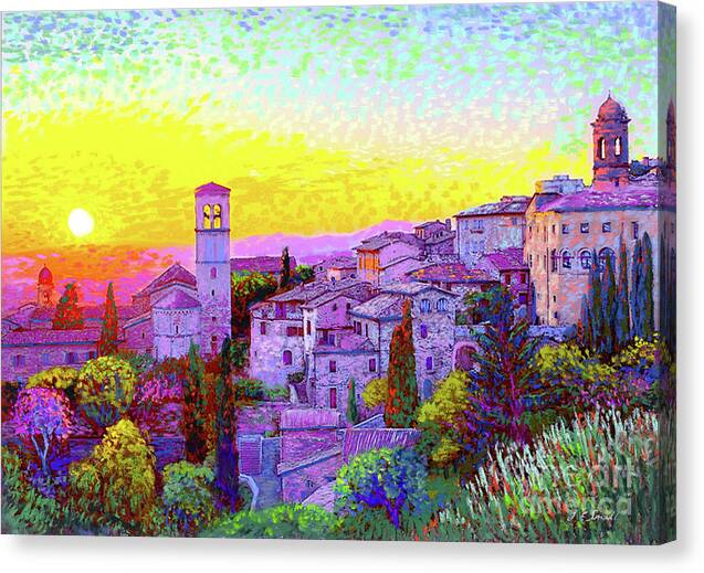 Basilica of St. Francis of Assisi by Jane Small