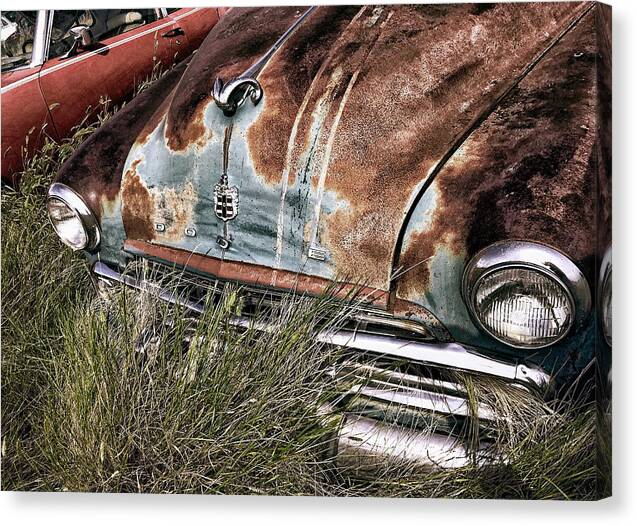 Car Canvas Print featuring the photograph Grass Fed by Trever Miller