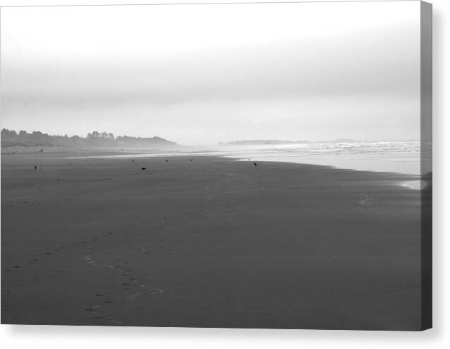 California Canvas Print featuring the photograph Clam Beach by Jessica Wakefield