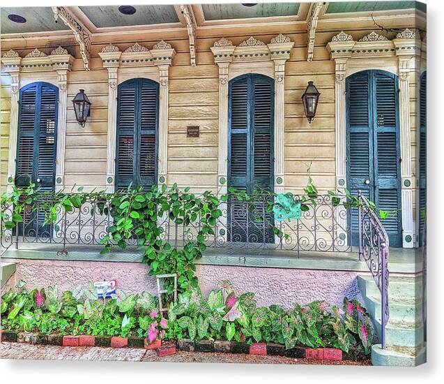 New Orleans Canvas Print featuring the photograph Sweet Cream and Ivy by Portia Olaughlin