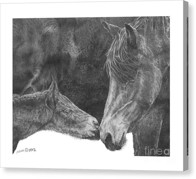 Horse Canvas Print featuring the drawing in the name of Love by Marianne NANA Betts