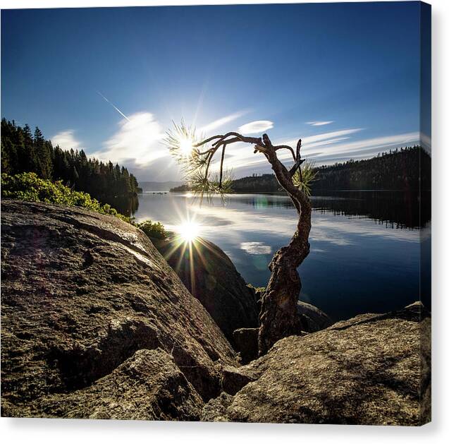 Lake Canvas Print featuring the photograph Double Star by Martin Gollery