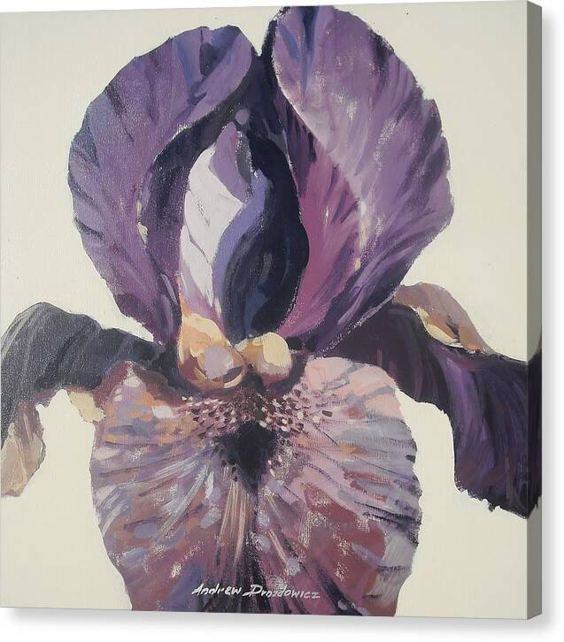 Iris Canvas Print featuring the painting Iris 1 by Andrew Drozdowicz