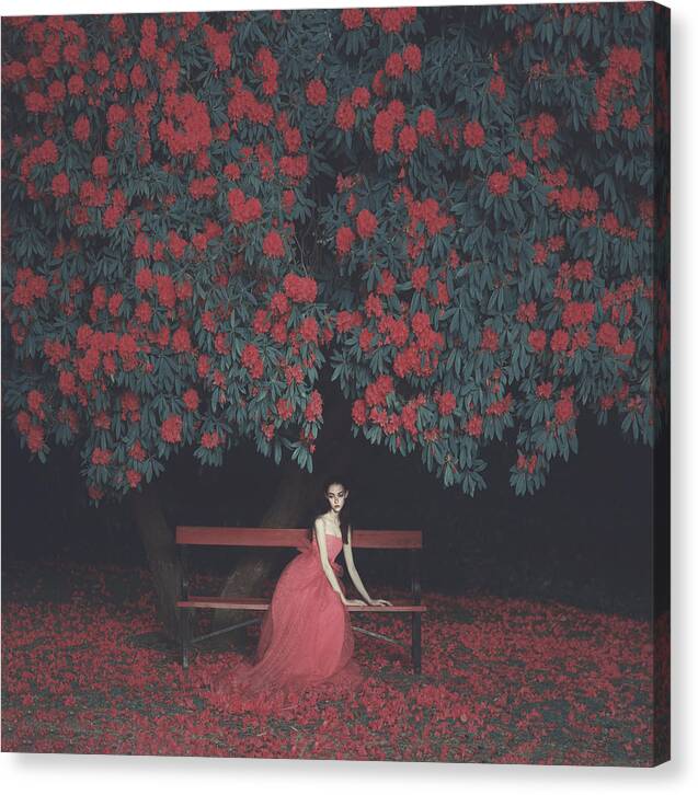 Dream Canvas Print featuring the photograph In A Garden by Anka Zhuravleva