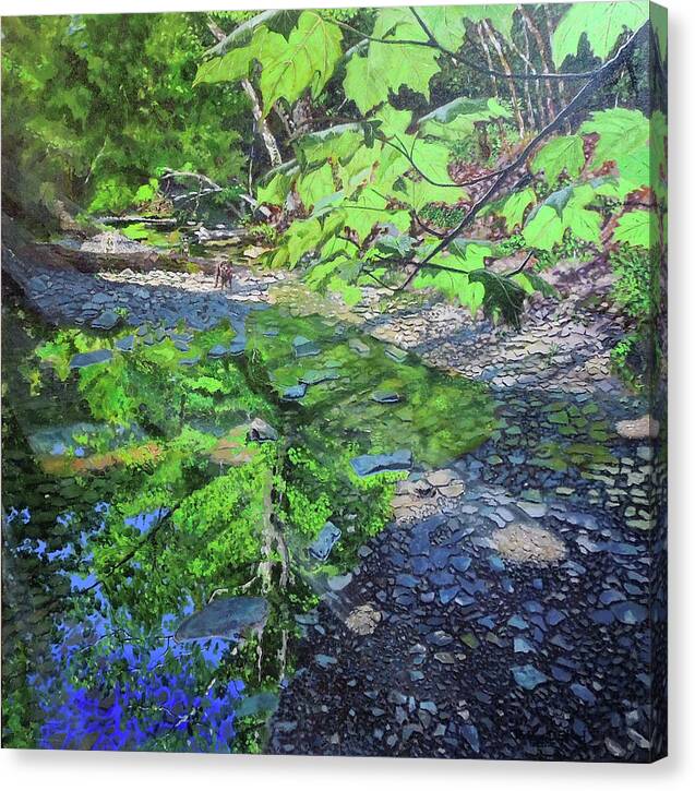 Nature Canvas Print featuring the painting Amberley Creek 3 by Thomas Stead