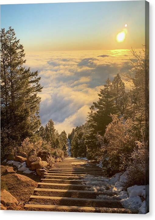 The Incline to heaven  by Rick Webb