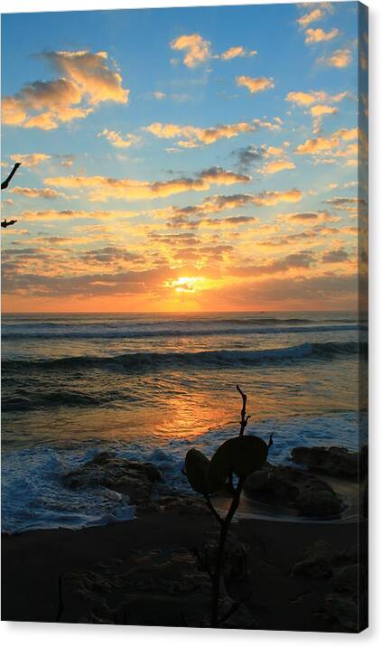 Jupiter Canvas Print featuring the photograph Serenity #1 by Catie Canetti