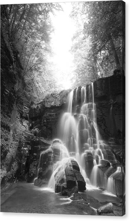 Pxl Canvas Print featuring the photograph Off The Beaten Path by Michele Steffey