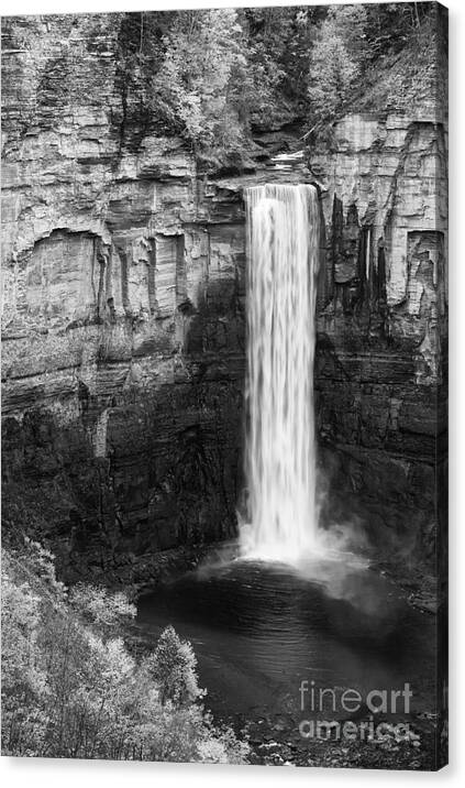 Michele Canvas Print featuring the photograph Taughannock Monochrome II by Michele Steffey